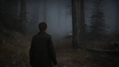 Foggy Dreams