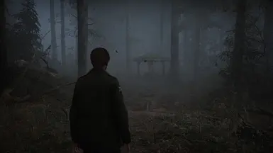 Foggy Dreams