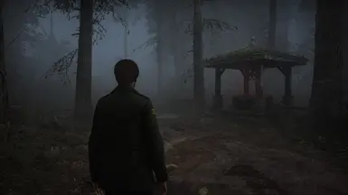 Foggy Dreams