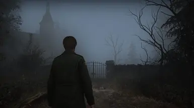 Foggy Dreams