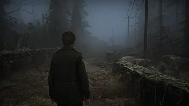 Foggy Dreams