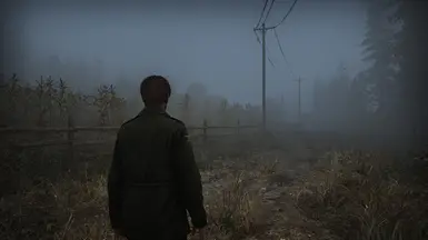 Foggy Dreams
