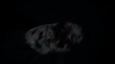 Boo