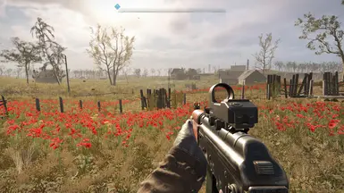 Anomaly-Free Performance (Low-End PC)