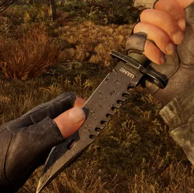 Damascus Knife