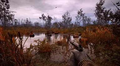Vanilla