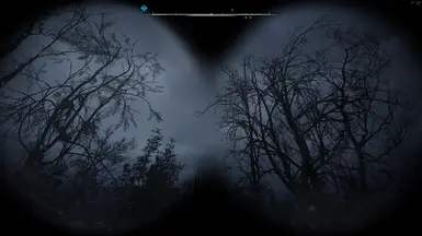 Binocular
