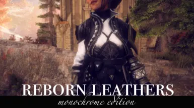 reborn leathers