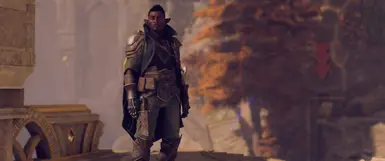 Primary Armor