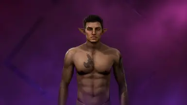 Koris Thorne (Male, Elven, Rogue, Grey Warden) 
