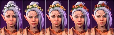 Summer Recolors