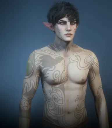 Nox - An edgy elf boy preset