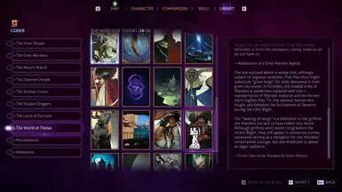Continuity Codex