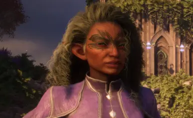 Sylveina - Elf Rogue Preset