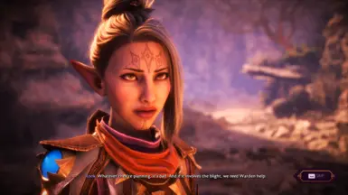 Silaren Aldwir - Female Elf Sliders and Save