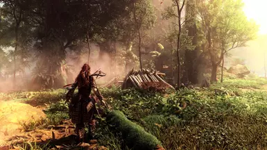 Horizon Zero Dawn Remastered ZD Experimental reshade