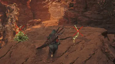 No Scoutflies