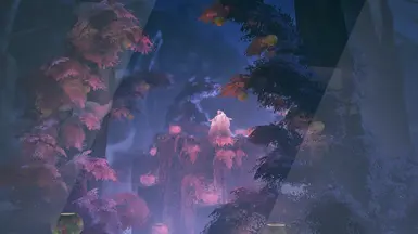 center = shader sample
