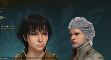 DMC Hair pack (Lady and Vergil)