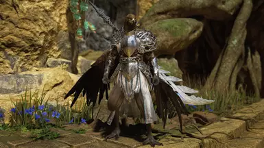 Nightreign Guardian