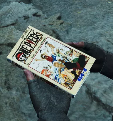 OnePiece Hunter Journal