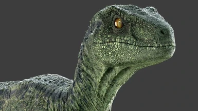Dino Raptor