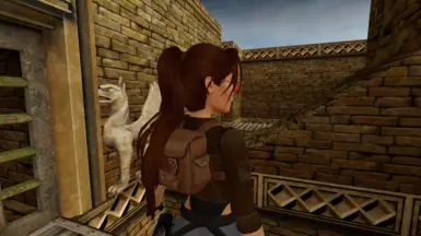 1.1 ponytail