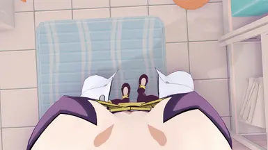 POV fixed