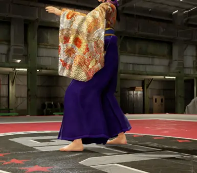 Barefoot Mod for Aoi Item