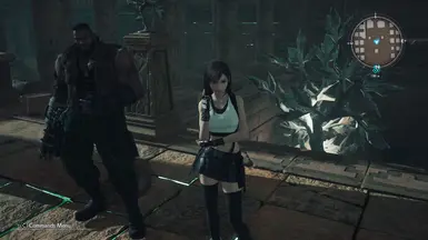 Sleeveless Tifa