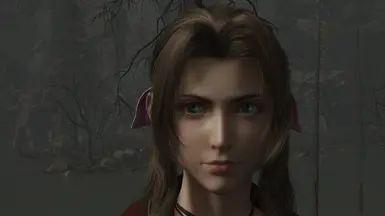 Aerith Remake Intergrade for Rebirth (Dresscode)