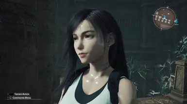 Wet skin for Tifa