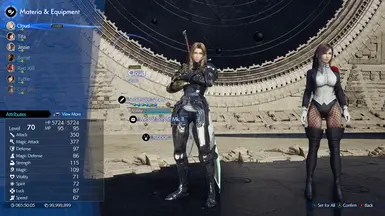 Armor Aerith