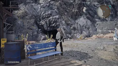 ver without ring