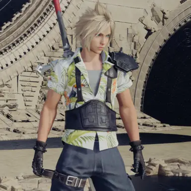 Example of this mod and 'Cloud and Aerith Birdie Recolors' by 'JasniMods' being compatible