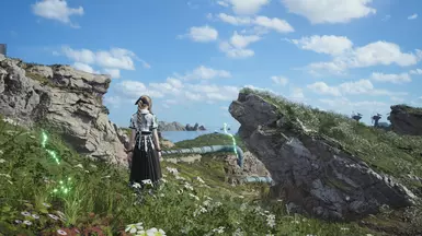 Vanilla