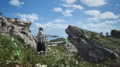 Reshade