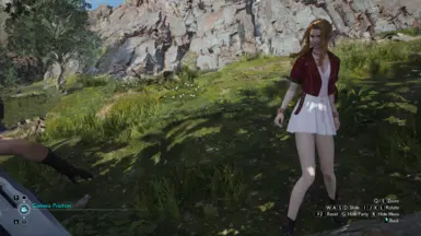 Short Skirt for Aerith Standard Outfit