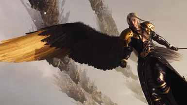 Black and Gold