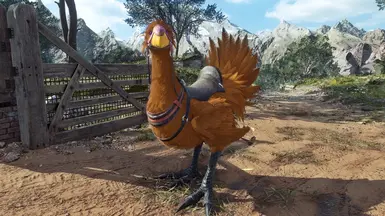 Orange - Or2 - Pumpkin