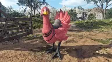 Red - Rc1 - Coral