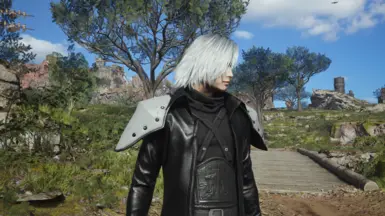 White Hair With Silver Pads