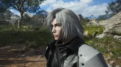 Silver Hair