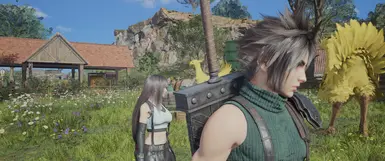 Hair Retexture (Tifa's color)