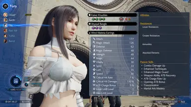 Feather Tifa (Ever Crisis)
