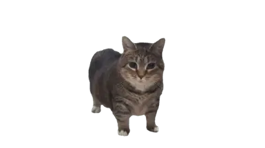 Potato graphics  (PC and steamdeck)