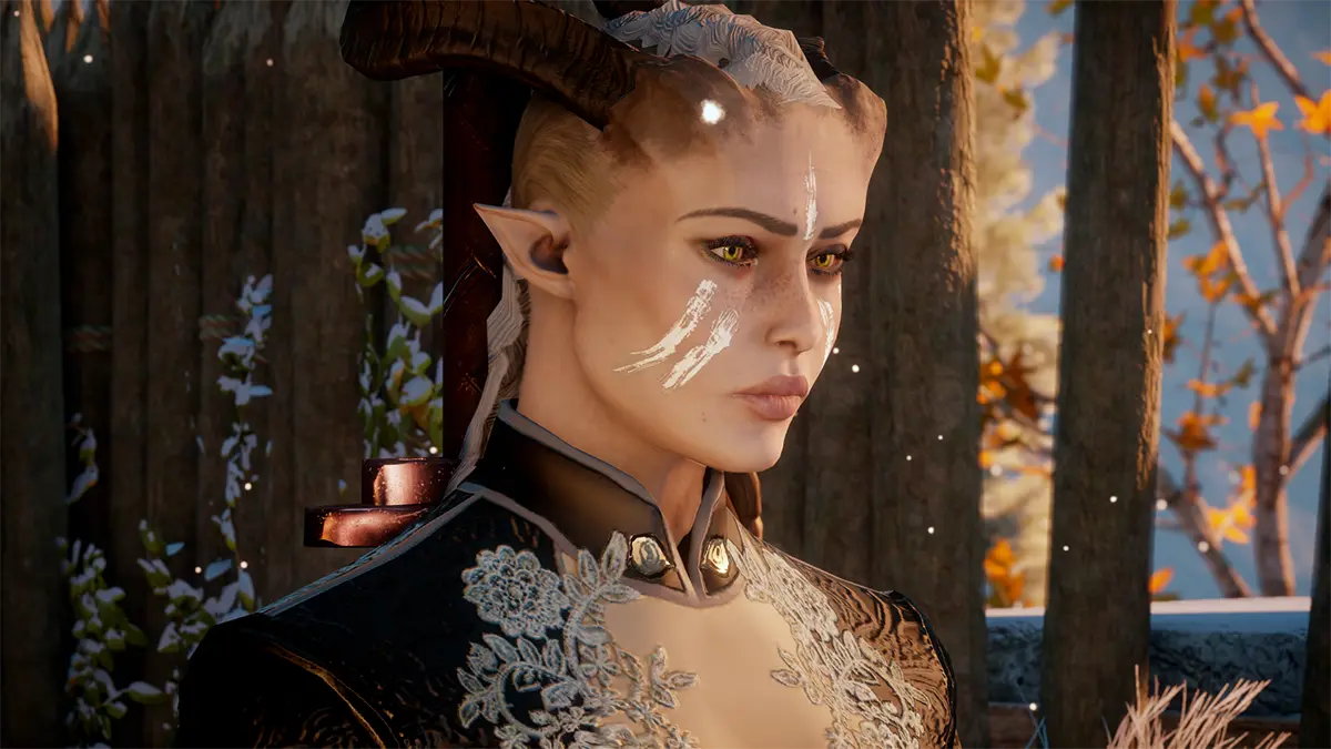 Single braid for Qunari at Dragon Age: Inquisition Nexus - Mods and ...