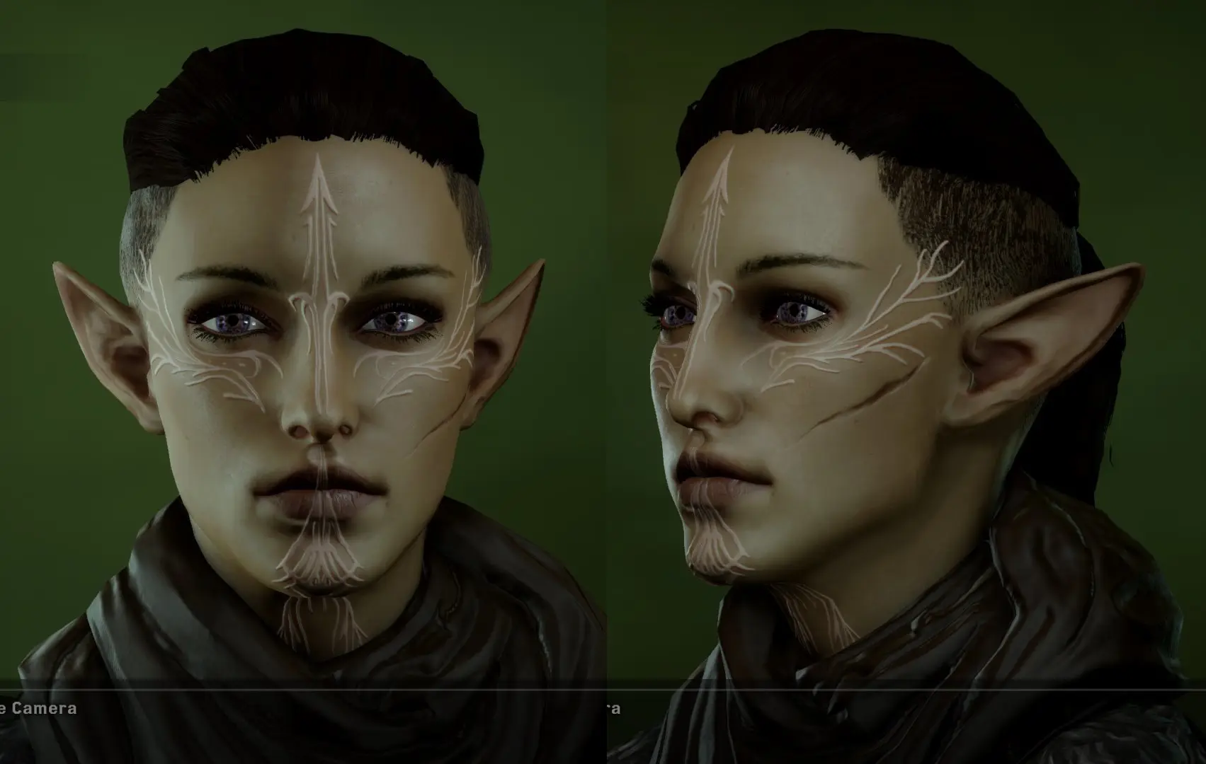 Dragon age inquisition sliders как использовать