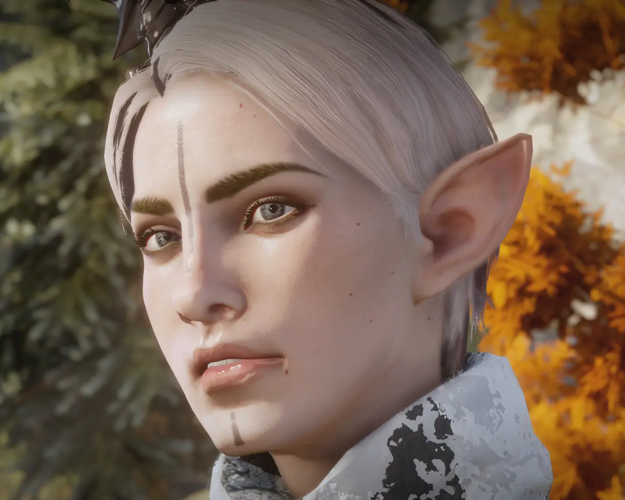 Dragon age inquisition sliders как использовать