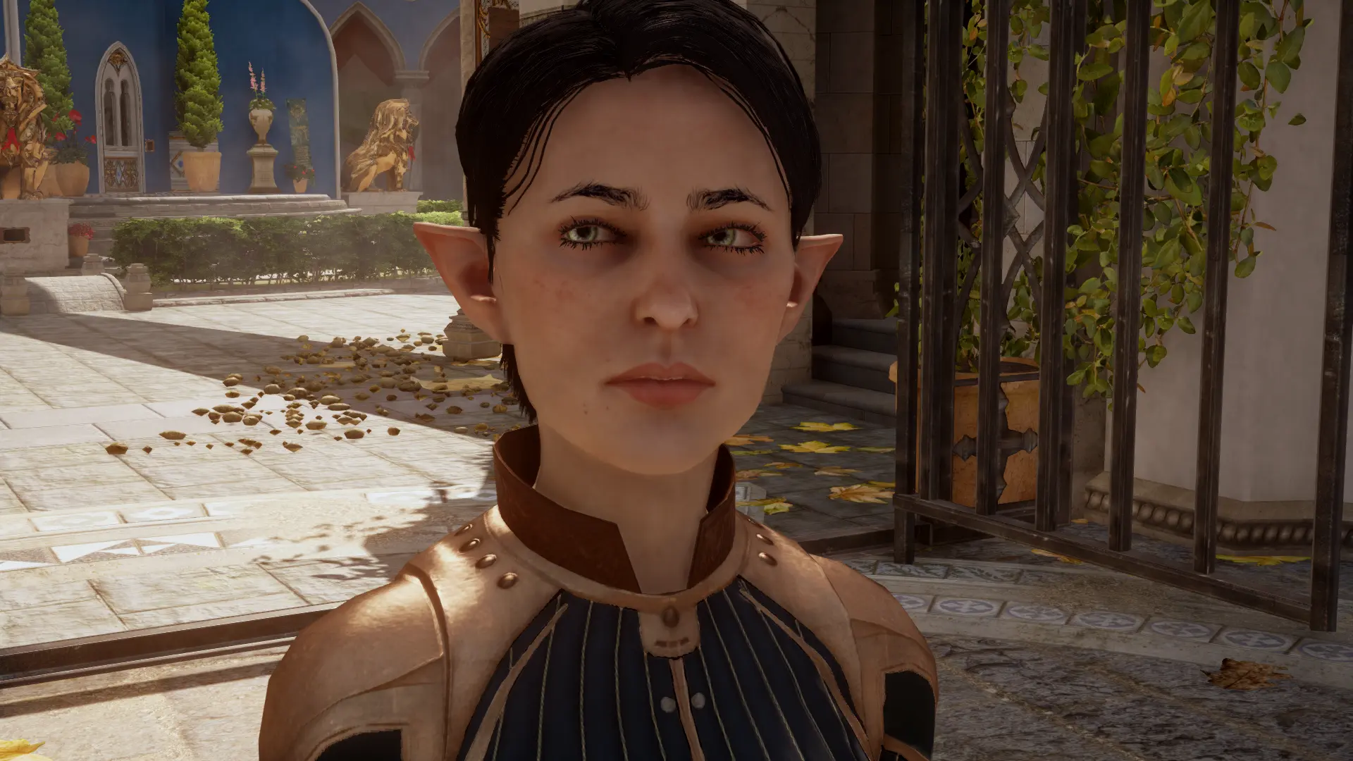 dragon age inquisition экспедиционный стол